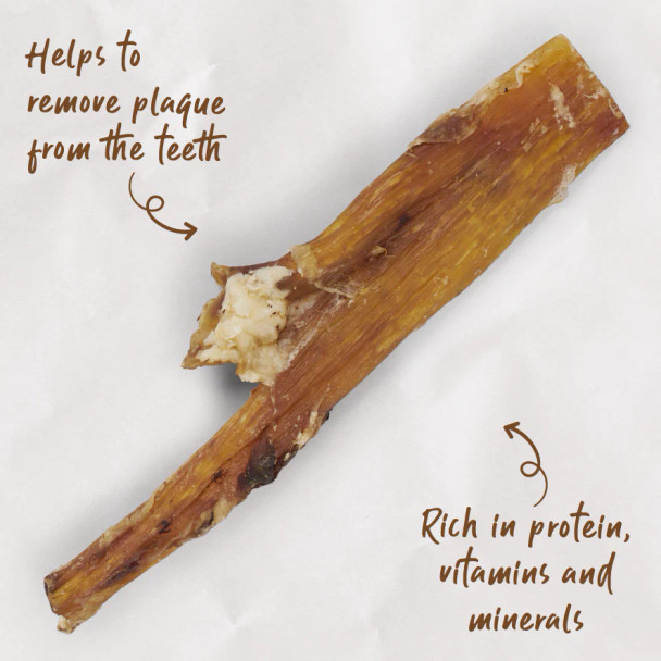 Kazoo Prime Cuts Beef Paddywack Single 35cm