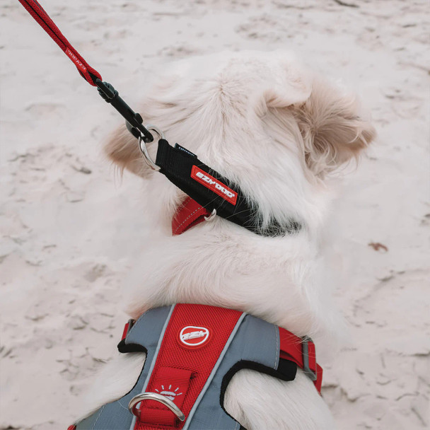 Ezydog Collar Checkmate XL Blue