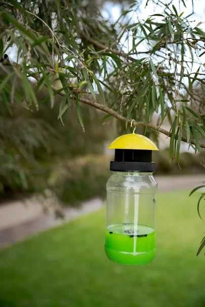 Envirosafe Fly Trap