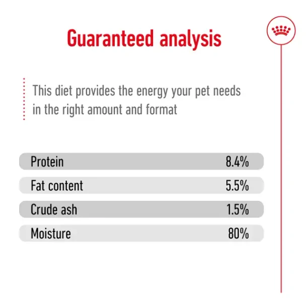 Royal Canin Dog Can Mini Ageing 8+ 12x195g