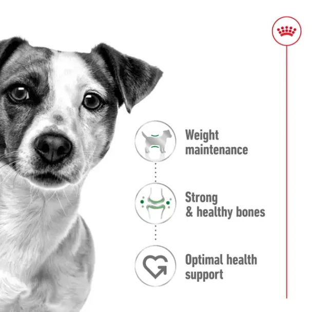 Royal Canin Dog Can Mini Adult 12x195g