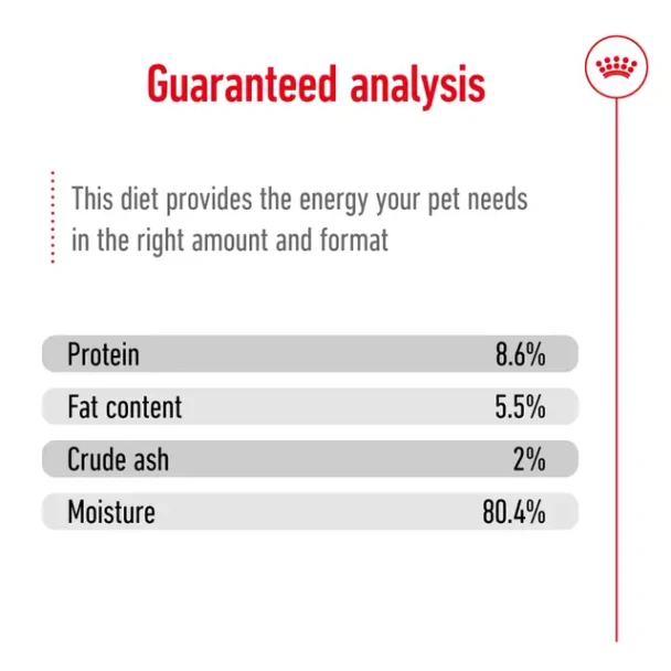 Royal Canin Dog Can Mini Adult 12x195g