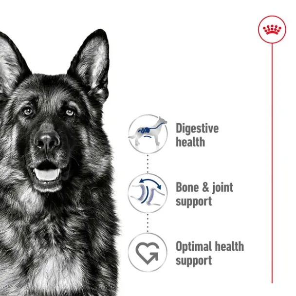 Royal Canin Dog Can Maxi Adult 12x410g 