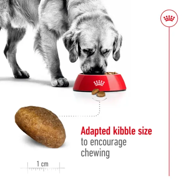 Royal Canin Dog Adult Maxi 4Kg
