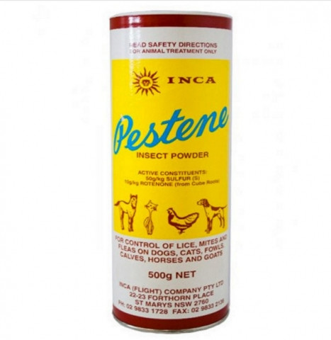 Pestene Powder 500G