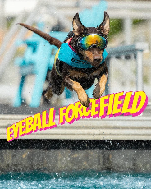 EzyDog Vest DFD X2 Boost - Pit Viper M