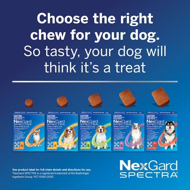 NexGard Spectra 30.1-60Kg 6Pk