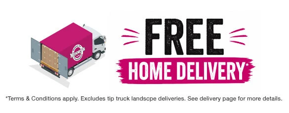 Free home delivery