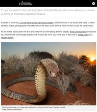 Photographing Australia’s large, venomous snakes - Online article feature - Australian Geographic (2018)