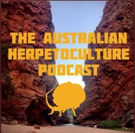 The Australian Herpetoculture Podcast Interview: Professional Reptile Photography & Herping with Ross McGibbon