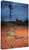 Spotted Mulga Windmill (Print)