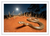 Moonlit Mulga Snake (Print)