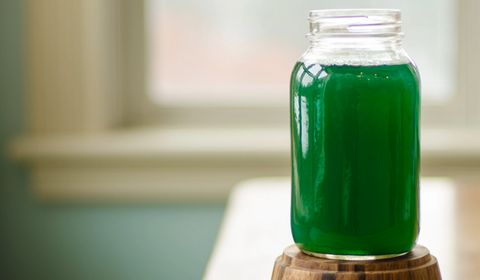 Spirulina!