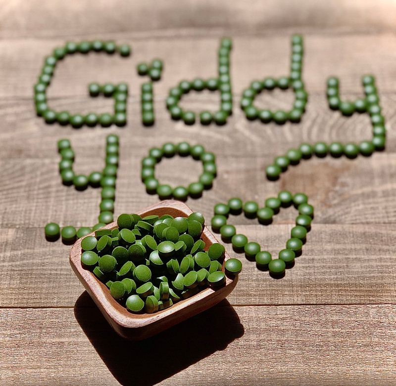 There is a reason why Giddy Yos CHLORELLA sold out