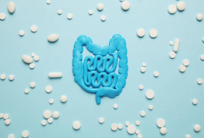 GUT HEALTH! Get in the know ?