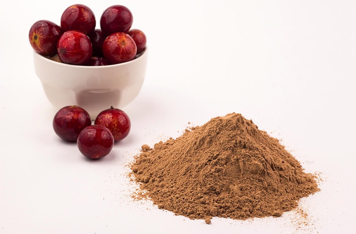 CAMU CAMU