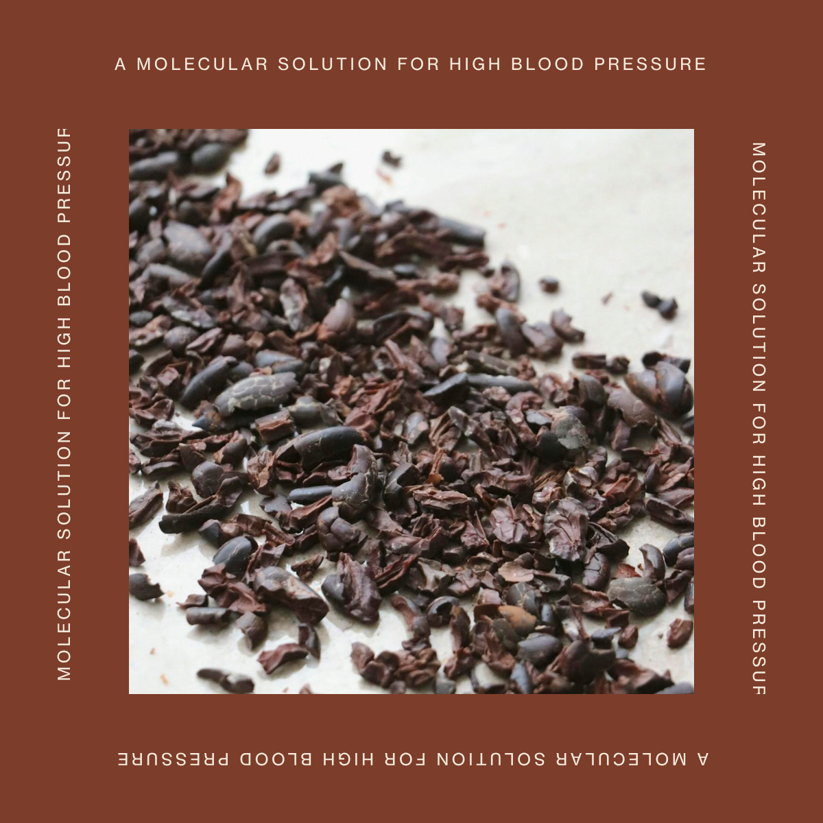 The Molecular Solution For High Blood Pressure by Dr. Dan Gubler