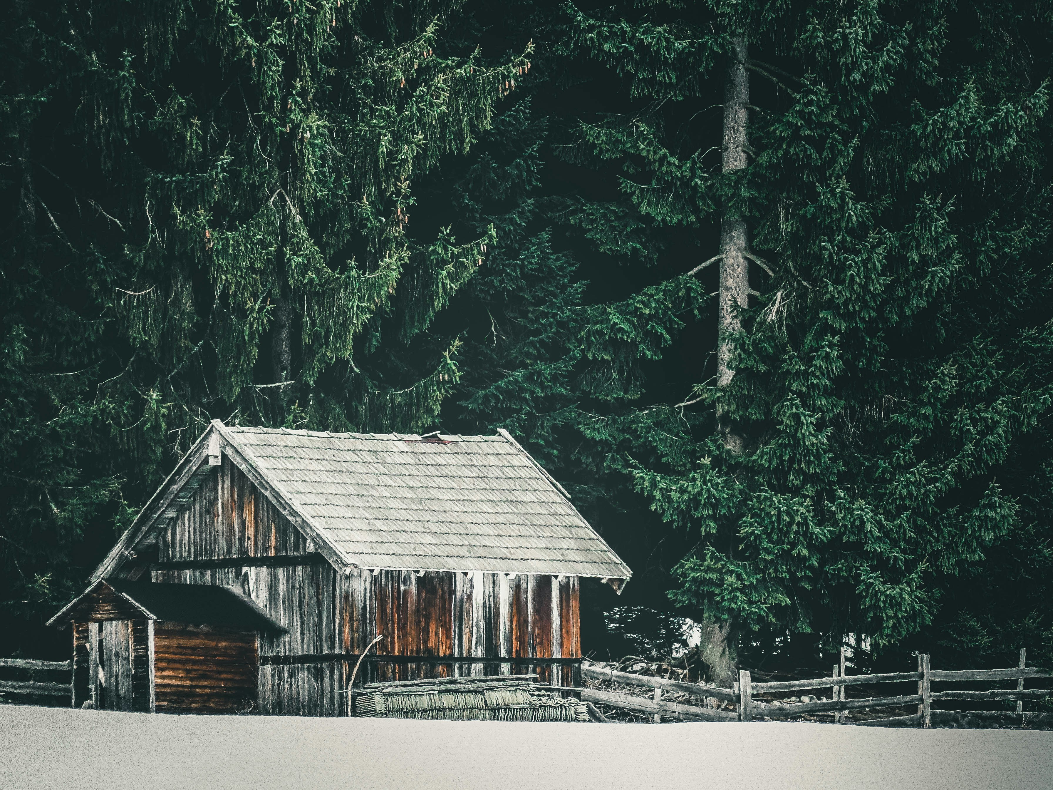 Best Tankless Water Heaters for Canadian Cottages and Cabins 