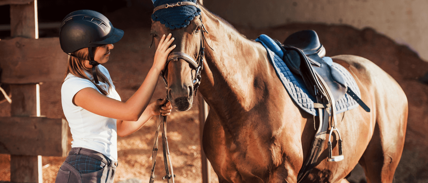 5 Equestrian Supplies You Didn’t Know You Needed   