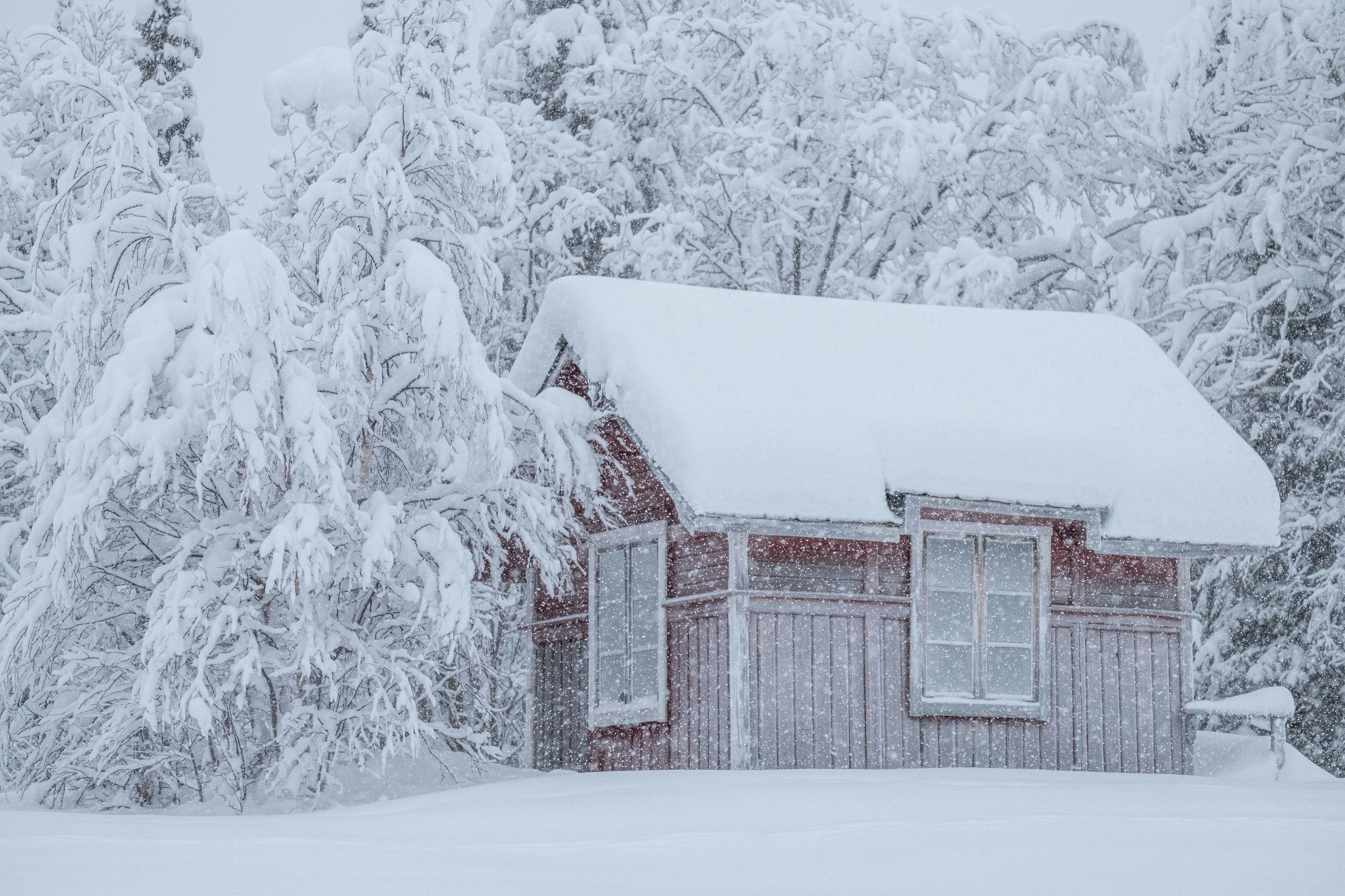 Tankless Water Heater Winterization for Cottages, Cabins & Seasonal Homes in Canada 