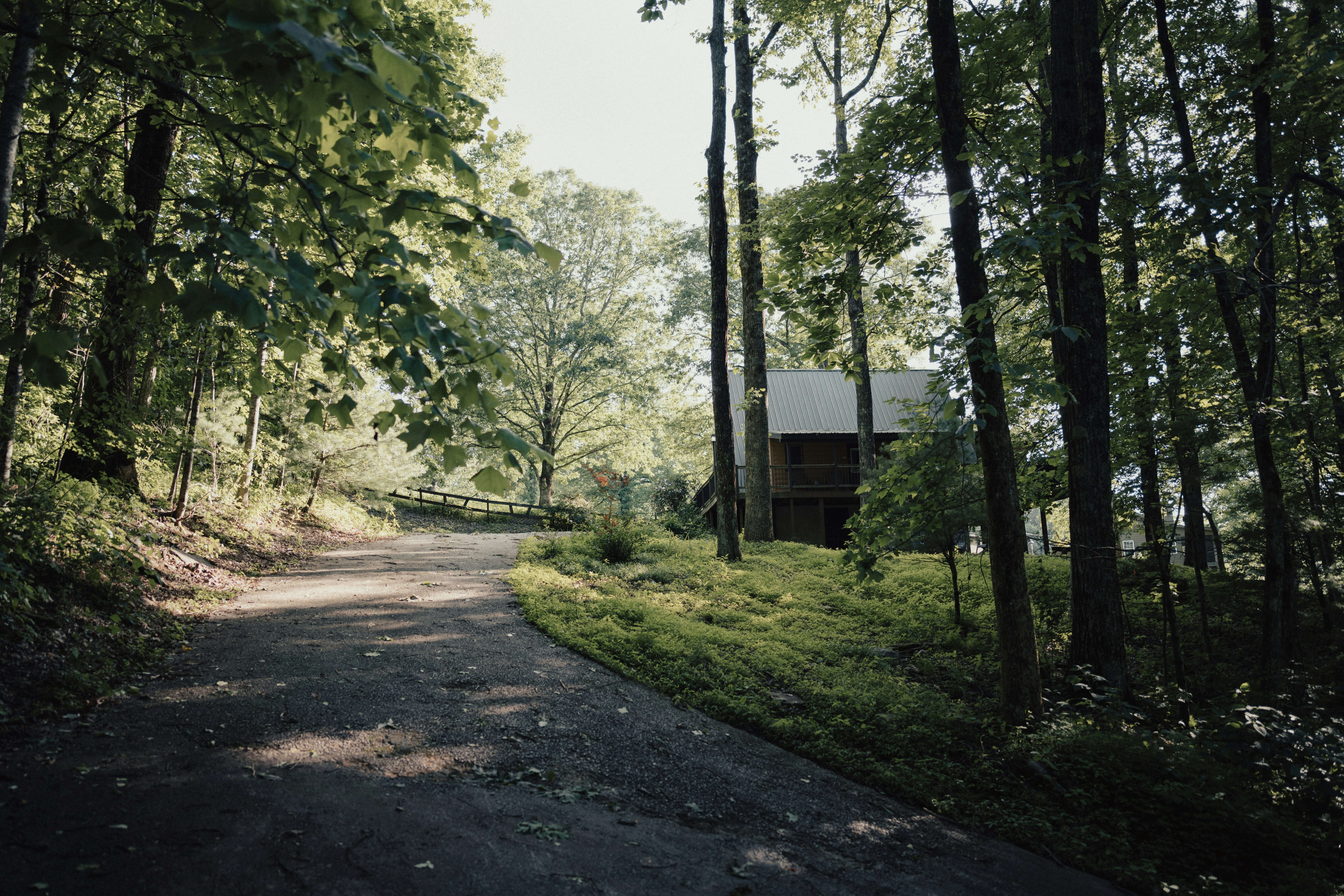 Spring Setup Guide: Turning Your Cabin Water System Back On the Right Way 