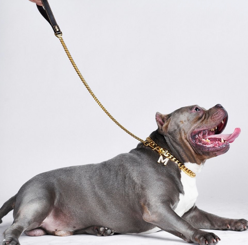 Cuban Link Dog Leash