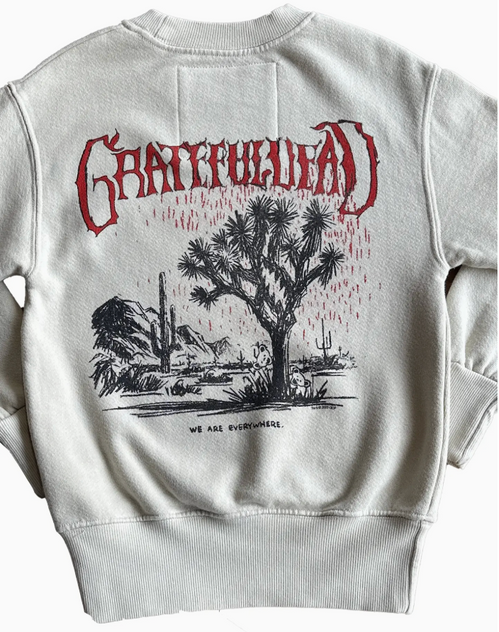 Grateful Dead Joshua Tree Hoodie