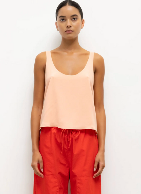 Ari Scoop Tank