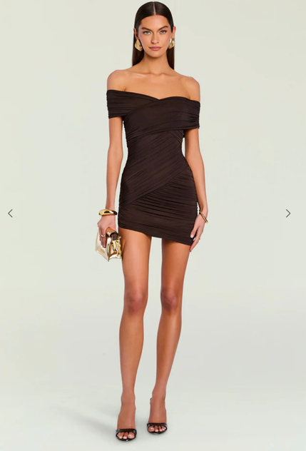 Deniz Mesh Mini Dress