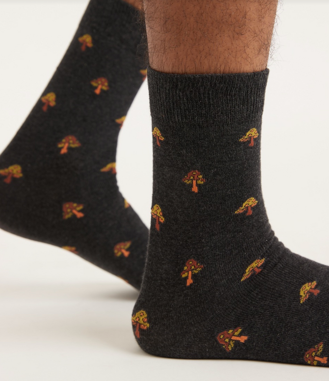 Cal Crew Sock