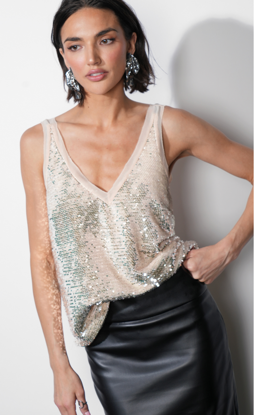 Ivy Velvet Sequin Top