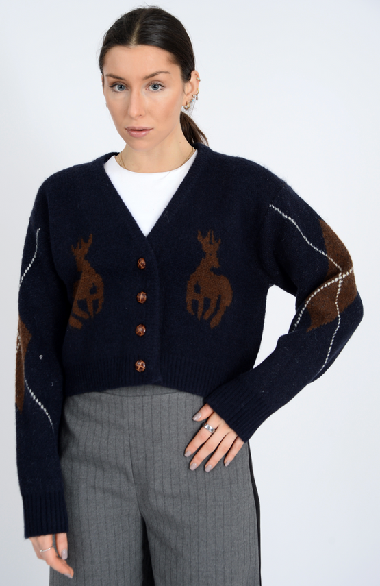Galswintha V Neck Cardigan