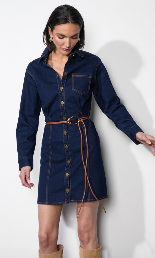 Calista Denim Shirt Dress