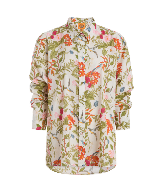 Classic Button Down