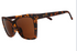 Vanguard Glasses