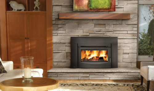 Napoleon Epi3c Contemporary Fireplace Insert