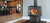 Napoleon S25 Wood Burning Stove