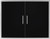 Wildfire Double Door 38" X 24"  - Black Stainless Steel