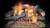 Majestic Fireside Supreme Oak See-Through Gas Log Set  & Burners