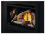 Napoleon Rosedale Gas Fireplace Insert - RD3N