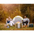 Napoleon Timberwolf Smokeless Stainless Steel Fire Pit - 22" - NWFPLTI-SS