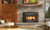 Napoleon Epi3c Contemporary Fireplace Insert