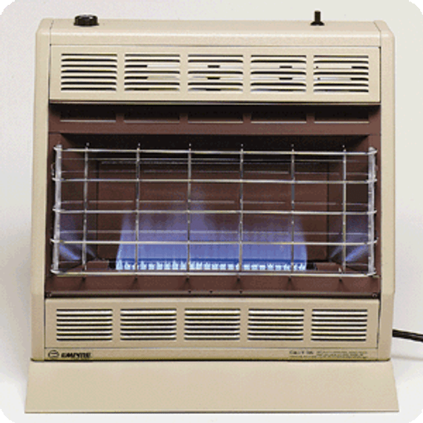 Empire Blue Flame Gas Heater