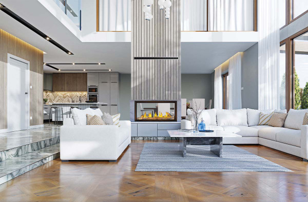 Napoleon Tall Linear Vector™ 50" See Through Gas Fireplace
