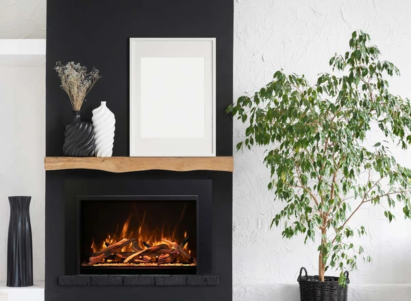 Amantii TRD-30-INSERT-BESPOKE Electric Insert - TRD-30-INSERT-BESPOKE