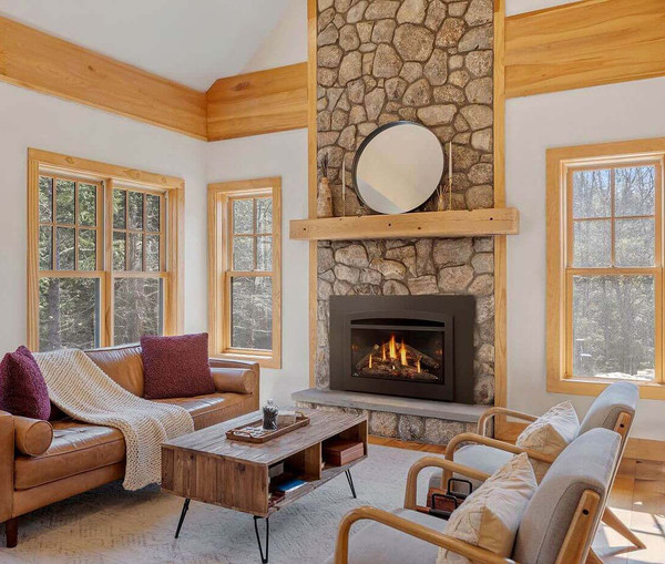 Napoleon Rosedale Gas Fireplace Insert - RD3N