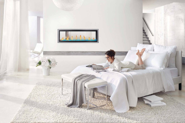 Napoleon Vector 50 Direct Vent See-Through Gas Fireplace