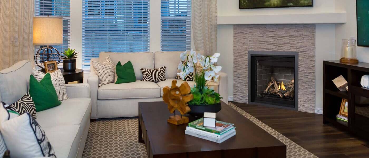 Napoleon Altitude 36 Direct Vent Gas Fireplace - A36NTE