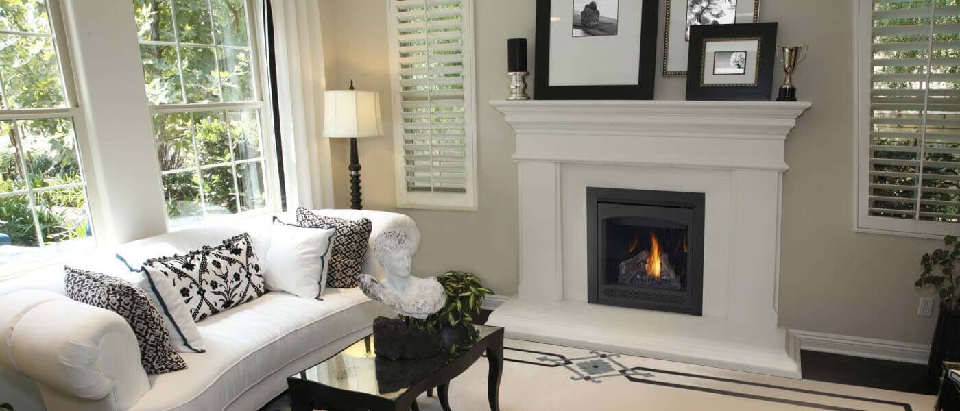 Napoleon Ascent 30" Gas Fireplace (b30ntre-1)