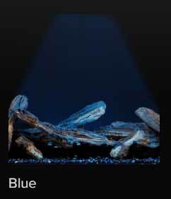 elements-accent-light-blue.jpg